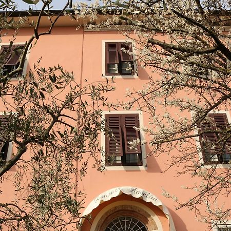 Angelini Dal 1911 Hotel Lucca Exterior foto