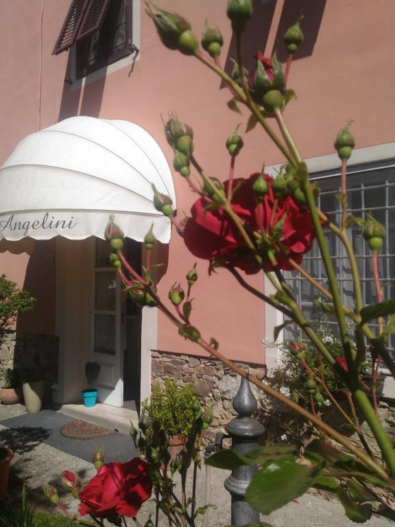 Angelini Dal 1911 Hotel Lucca Exterior foto
